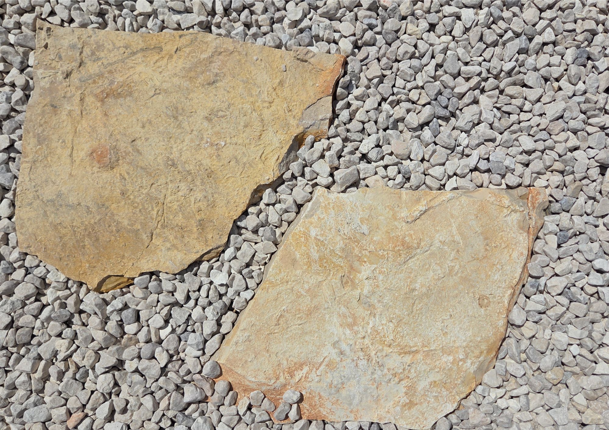 Šlapák z vápenca B4 4-6cm